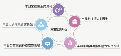 農(nóng)業(yè)科技服務(wù)工作再創(chuàng)佳績(jī) 信息技術(shù)咨詢服務(wù)的核心作用